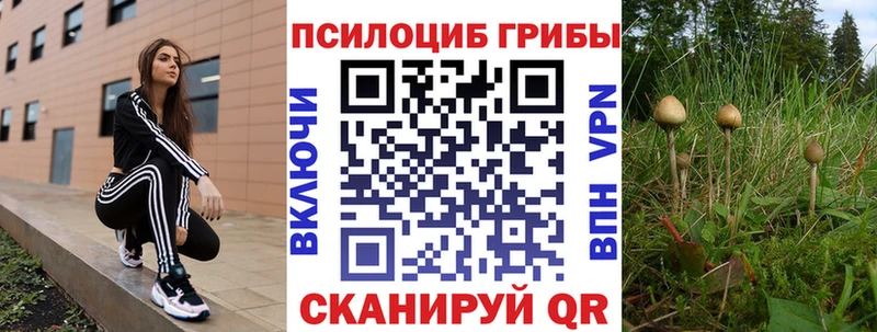 Псилоцибиновые грибы Psilocybe  Купить где  Янаул 